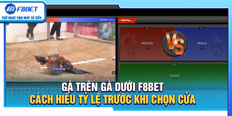 Gà Trên Gà Dưới F8BET – Cách Hiểu Tỷ Lệ Trước Khi Chọn Cửa 2 Gà Trên Gà Dưới F8BET – Cách Hiểu Tỷ Lệ Trước Khi Chọn Cửa