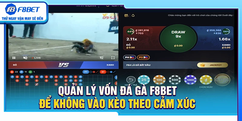 Quản Lý Vốn Đá Gà F8BET Để Không Vào Kèo Theo Cảm Xúc 1 Quản Lý Vốn Đá Gà F8BET Để Không Vào Kèo Theo Cảm Xúc