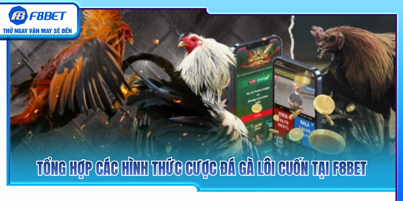 Đá Gà F8BET 2 Những thể loại chọi gà kịch tính tại sảnh đá gà F8BET