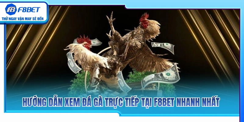 Đá Gà F8BET 3 Các bước theo dõi đá gà trực tiếp F8BET dễ dàng nhất