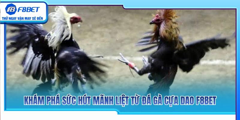 Đá Gà Cựa Dao F8BET – Lưu Ý Khi Theo Dòng Trận Tốc Độ 2 Giải mã sức lôi cuốn của các trận đá gà cựa dao F8BET
