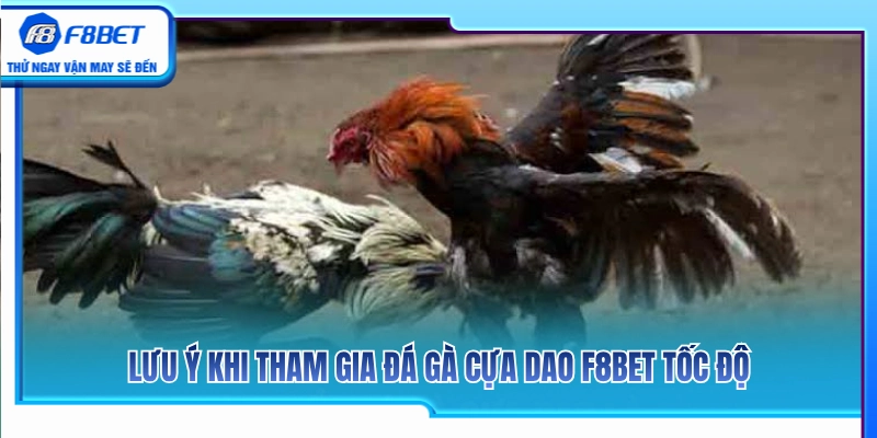 Đá Gà Cựa Dao F8BET – Lưu Ý Khi Theo Dòng Trận Tốc Độ 3 Vài lưu ý khi tham gia cá cược chọi gà dao F8 BET