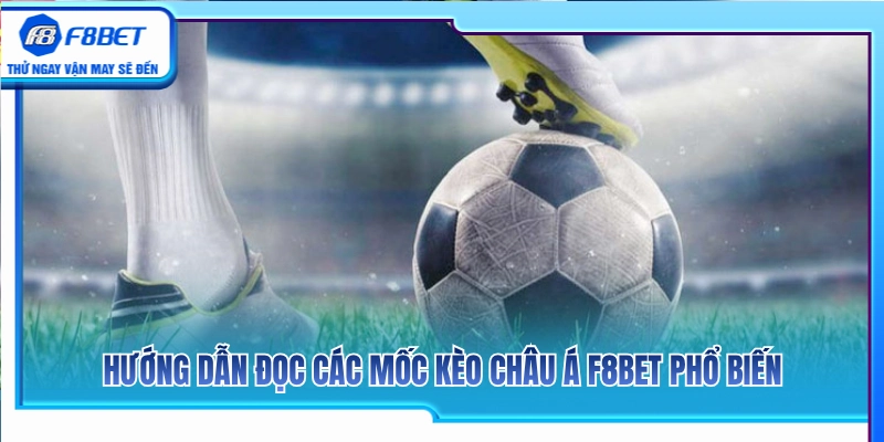 Kèo Châu Á F8BET – Cách Đọc Handicap Không Bị Nhầm Cửa 3 Cách xem những tỷ lệ cược chấp thường gặp