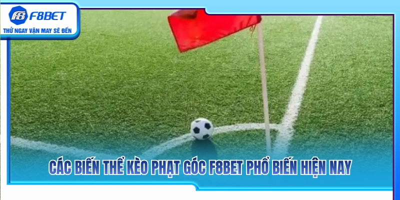 Những hình thức kèo phạt góc F8BET thịnh hành nhất 