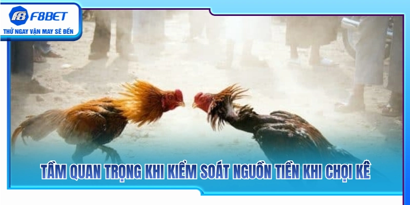 Quản Lý Vốn Đá Gà F8BET Để Không Vào Kèo Theo Cảm Xúc 2 Vai trò quan trọng của việc giữ an toàn vốn cược chọi gà