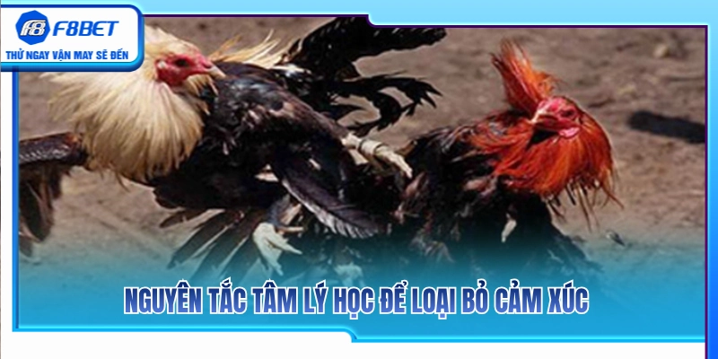 Quản Lý Vốn Đá Gà F8BET Để Không Vào Kèo Theo Cảm Xúc 4 Cách kiểm soát tâm lý và loại bỏ cảm xúc nhất thời khi vào kèo