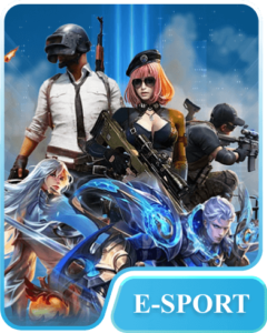 F8BET – Link Vào F8 BET Chính Thức - Đăng Ký Nhanh 2026 5 hometype esports 240x300 1